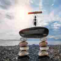 ai助‍手‌有‌哪​些﻿